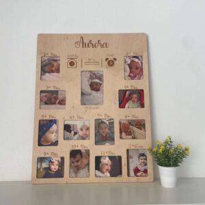 Quadro- Os meus primeiros 12 meses